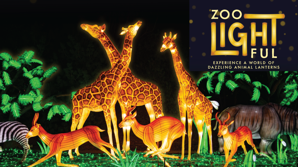 2026 Web Contest Graphics